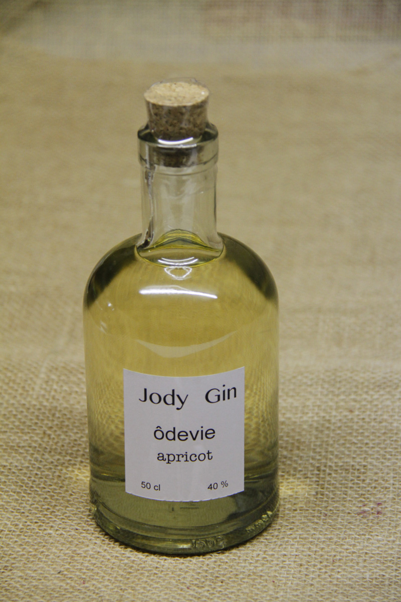 Jody Gin Odevie apricot