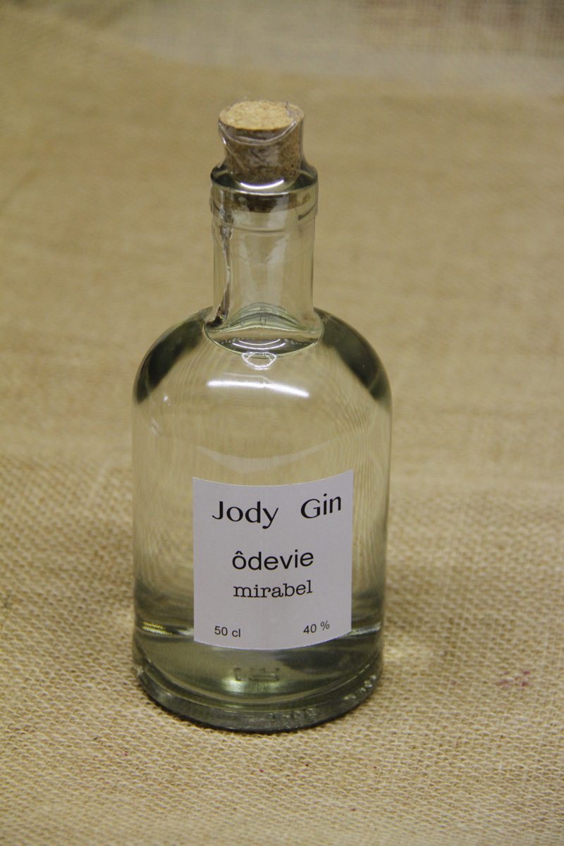 Jody Gin Odevie mirabel