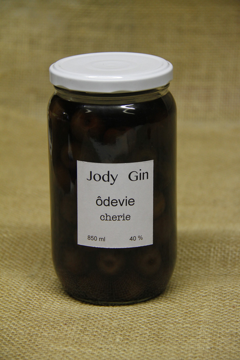 Jody Gin Odevie cherie